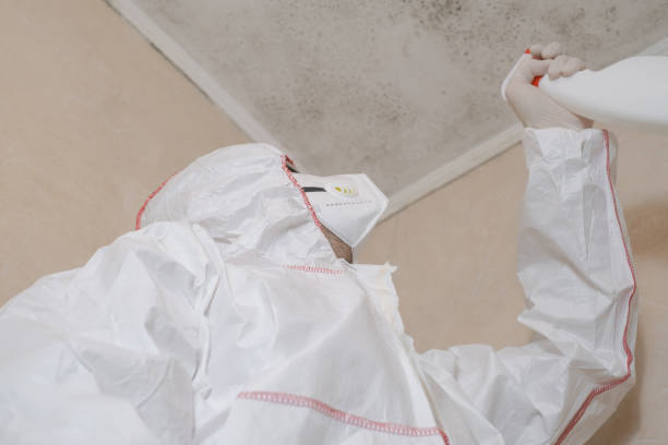 Asbestos and Lead Testing During Mold Inspection in Anna, IL